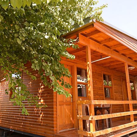 Tolay Hotel Ölüdeniz Buitenkant foto